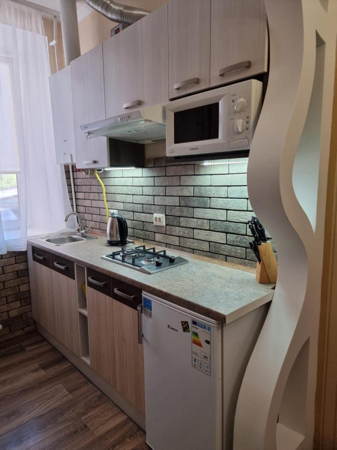Petropavlivska Apartment Тиха Вуличка В Центрі Старого Міста 카미야네치포딜시키 외부 사진