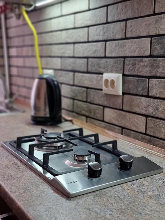 Petropavlivska Apartment Тиха Вуличка В Центрі Старого Міста 카미야네치포딜시키 외부 사진